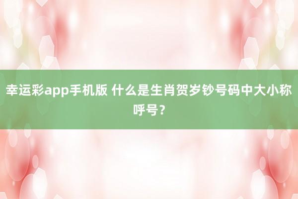 幸运彩app手机版 什么是生肖贺岁钞号码中大小称呼号？